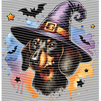 Halloween-WS 4097